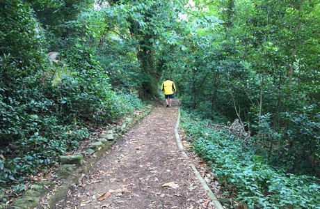 Hiking in Sintra