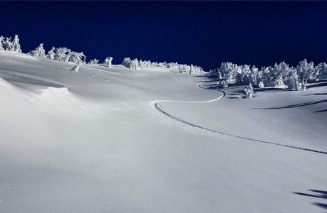 Sandy Kohlmoos ripping the backside of Mt. Bachelor