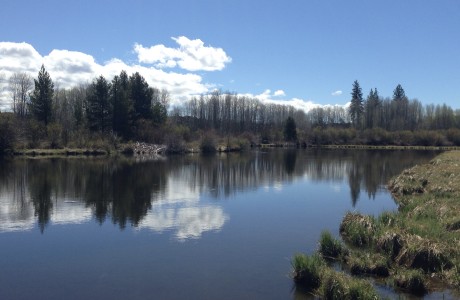 SUP on the Deschutes . . . Dillon to Benham