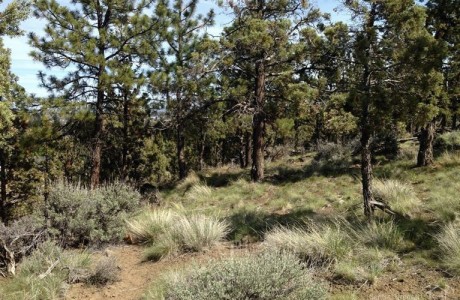 Fairway Heights view lot--$159,000