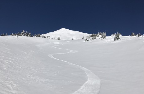 Wonderful spring skiing . . . Sandy Kohlmoos 