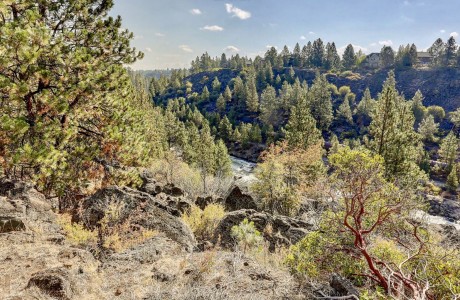 Deschutes River Canyon