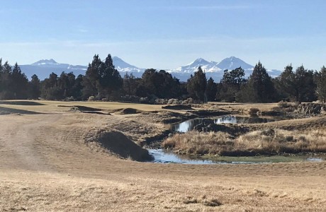 #11 at Pronghorn Fazio